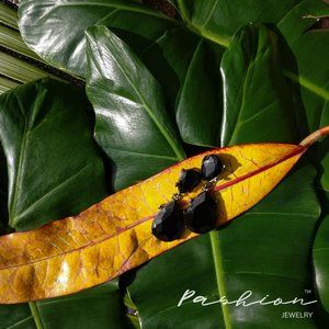 Black Drop Crystal Rhinestone Elegant Earrings